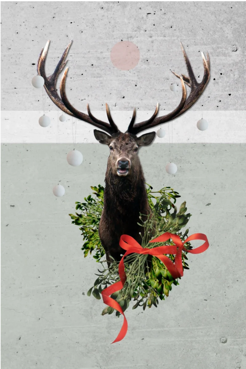 Plakaty Å›wiÄ…teczne â€“ Reindeer Day