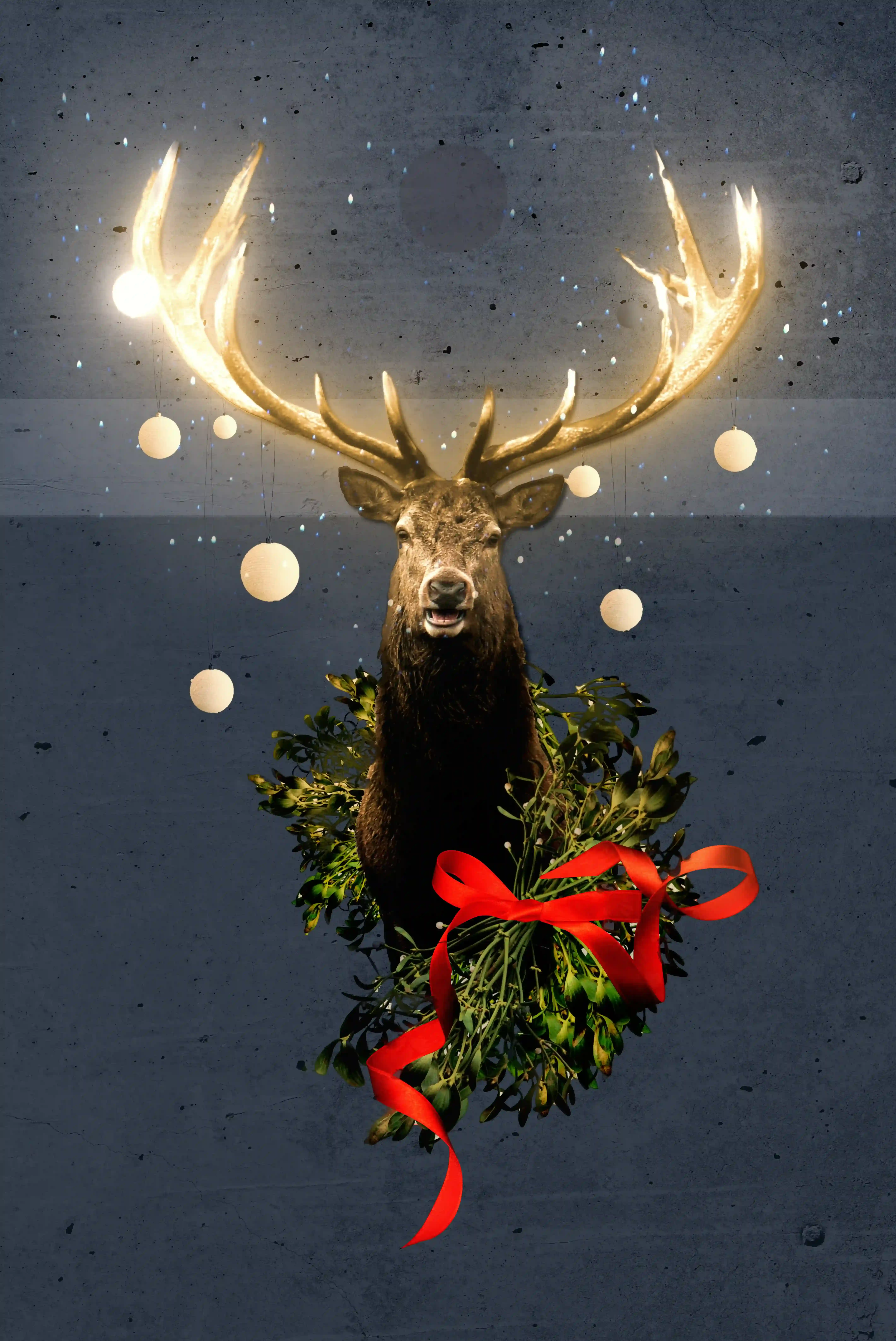 Plakaty świąteczne – Reindeer Night